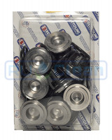 KIT клапаны POLY2120-50 629805973